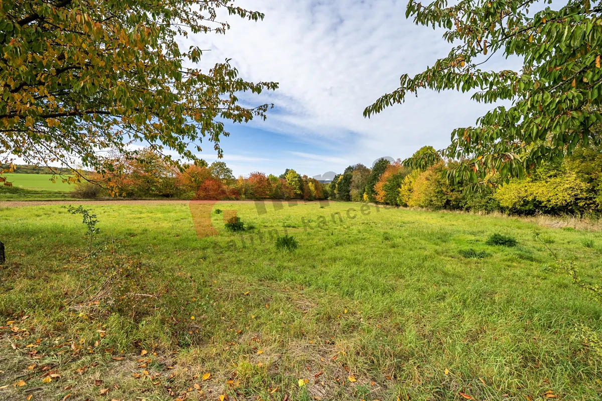 Prodej stavebního pozemku 7821 m²